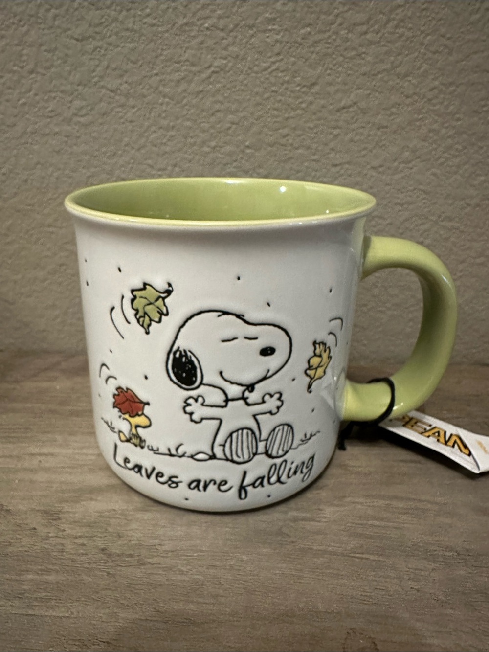 Peanuts Snoopy/Woodstock Leaves Are Falling Mug